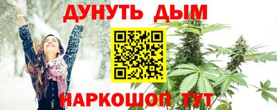 прущие грибы Лесосибирск
