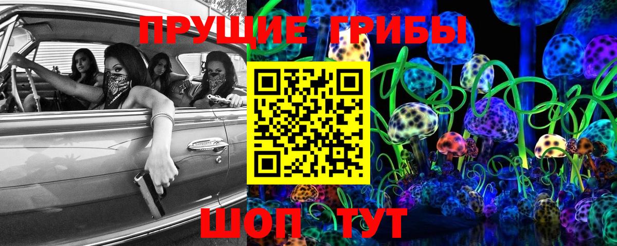 Галлюциногенные грибы Cubensis Бахчисарай
