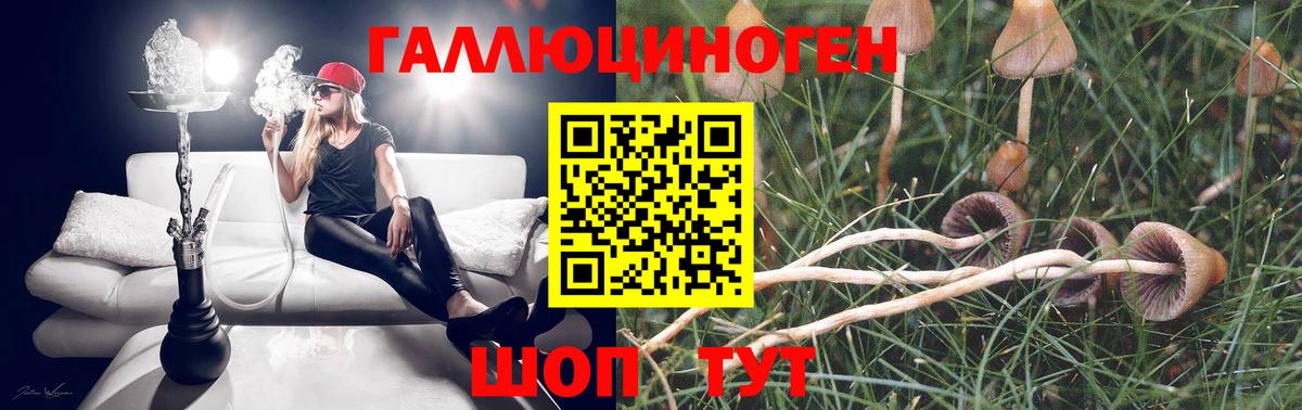 Галлюциногенные грибы прущие грибы  Псилоцибиновые грибы Psilocybine cubensis  Вход с VPN  Бахчисарай 